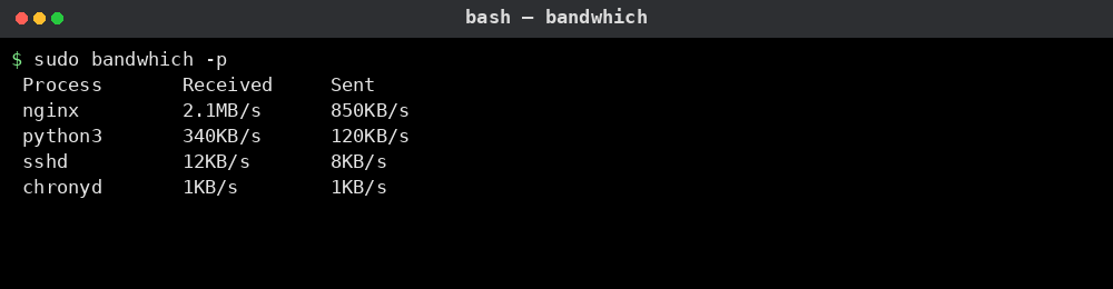 bandwhich 명령어 실행 결과 2