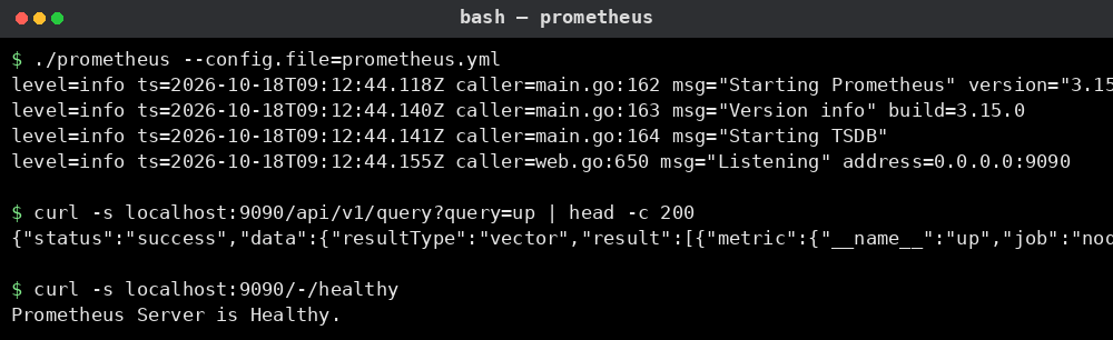 Prometheus 예시: 서버 시작 로그, health 체크