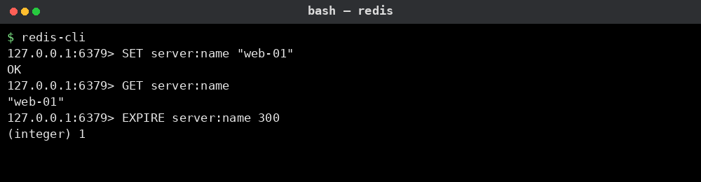 Redis CLI에서 키 저장·조회·TTL 설정 예시