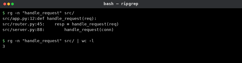 ripgrep 명령어 실행 결과